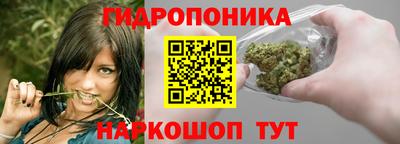 прущие грибы Конаково