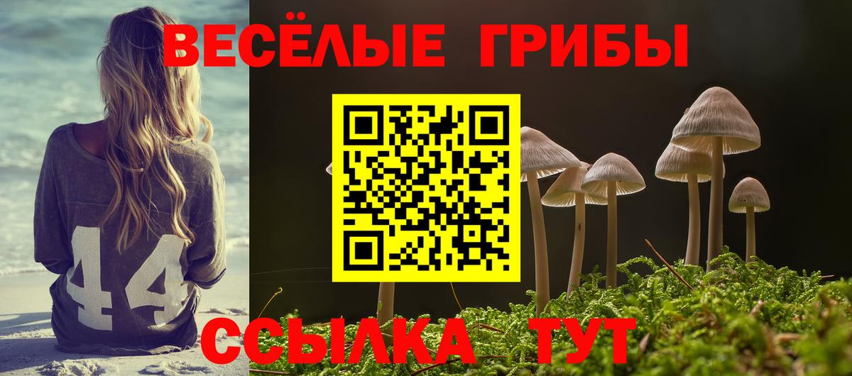 где продают   Галлюциногенные грибы мицелий  Вход с VPN  Канаш 