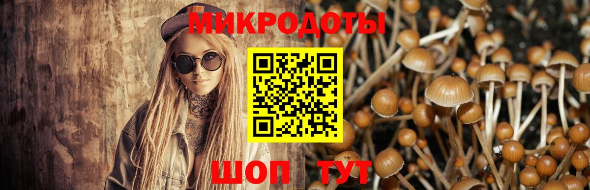 Галлюциногенные грибы прущие грибы Канаш