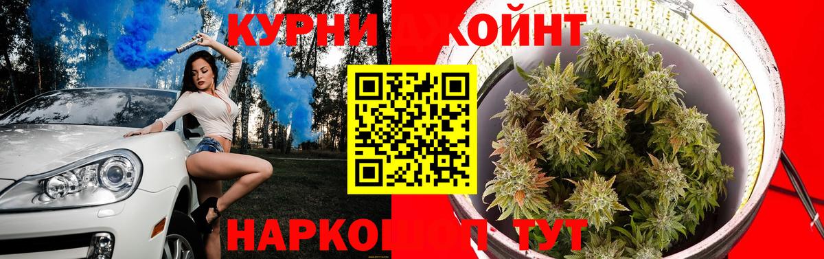 Бошки Шишки конопля  Вход с VPN  Канаш  Каннабис Amnesia 